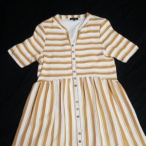 Roolee Button Down Dress